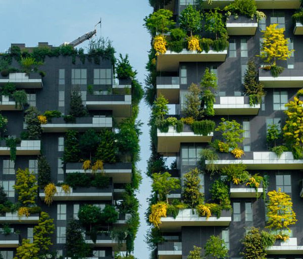 GUIDE – Il tetto in condominio: regime giuridico e spese di manutenzione